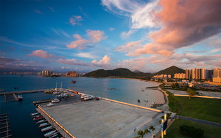 随手拍——海边不止是风景，还有金钱！🌊💰