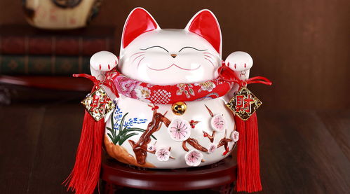 猪猪侠的幸福人生