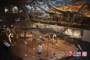 东莞恐龙展：一场吵闹又奇妙的视觉轰炸