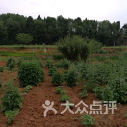 一、 先来个乱七八糟的门票表格——但你看得见，读得懂