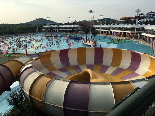 安全警示：玩的就是心跳