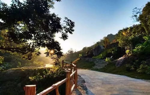 从化旅游景点大揭秘！看完这篇你绝对不想去！