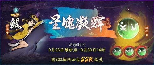 四、 情绪炸裂的小插曲——让你哭笑不得的“意外”事件