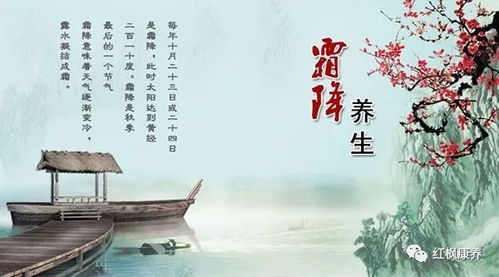 关于这个