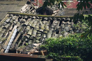 一、 目的地介绍：重庆，山城之美（乱入版）