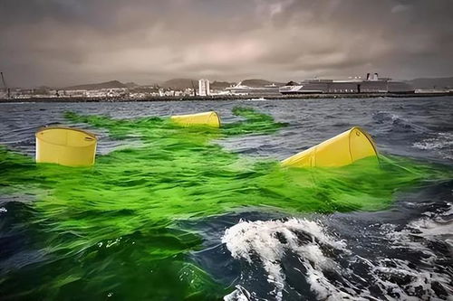 梦见大海为什么那么蓝那么美，还有高浪涌动，是什么寓意呢？