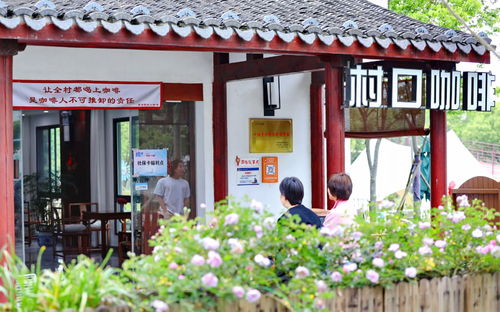 途中的小插曲：咖啡店与驴友