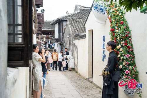 二、 周庄较小镇：河流与灯光交织的浪漫