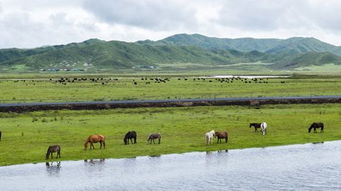 啊啊啊！观光车就是个笑话！