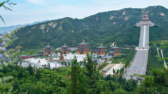 南山旅游景区深度体验：
