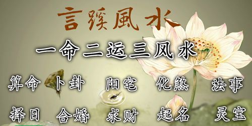 铁板神数批命软件中，哪个最准确预测财运事业？