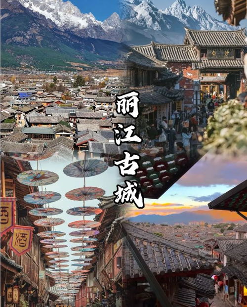 1. 把全部收据和发票统一归档