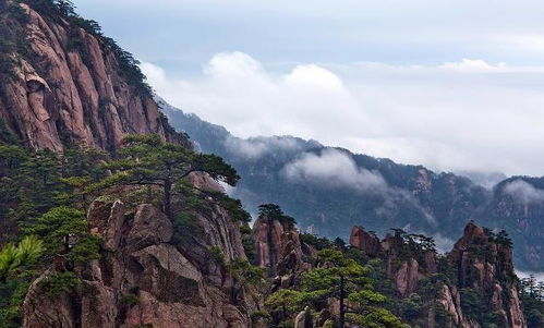 西递古村，穿越时空的错觉