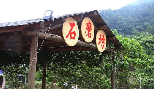乱入段落——情感冲击波