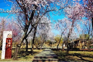 梅花山：差点迷路的探险