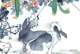 生肖兔的一生命运如何,风水知识生肖兔命运