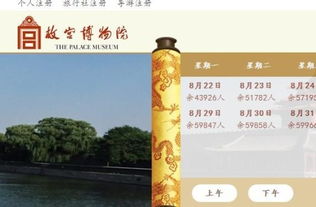 “8天预售制”：互联网时代的“门票围城”