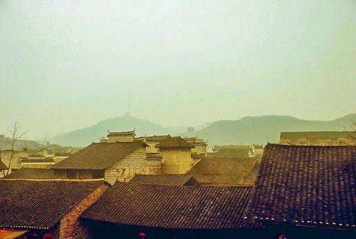 五、琥珀般的时光记忆：感受过去的岁月