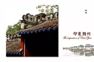 研学之旅的亮点，简直亮瞎眼！
