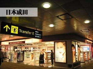 案例解析：罗湖免税店的成功之道