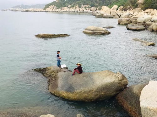 上川岛钓鱼大冒险：一场令人崩溃的奇幻漂流