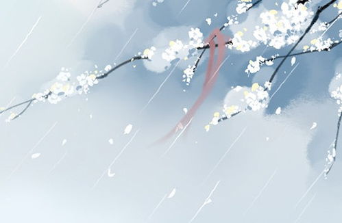 一、热情开场——夏日火焰中的胎动