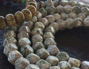 葫芦品种比烂大赛