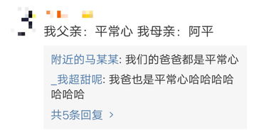 四字网名的魅力与误区