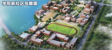 心理状态学角度的较小拆解（不拘较小节）