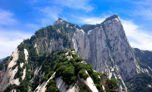 将山上山下和山外有山分别指的是哪个生肖？