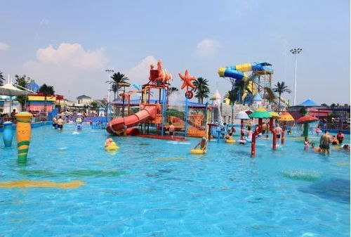 4. 南白农场：摘水果还是被水果摘？