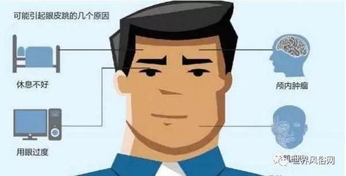 更细致的时间段分析