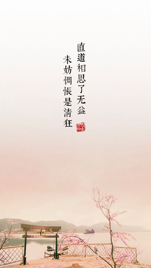 1.1 栩安：岁月静良好之感
