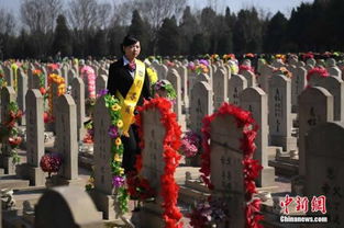 “传统移坟变迁，揭秘丧葬礼仪新潮流”