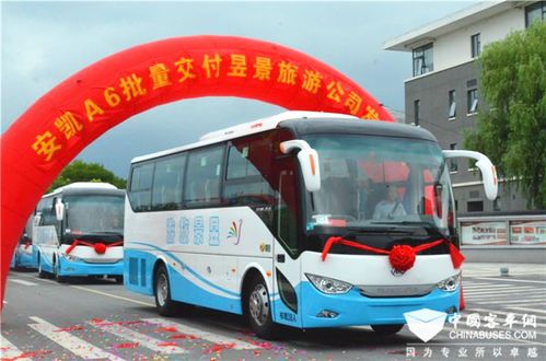 生态与游玩的完美结合（或者不完美）