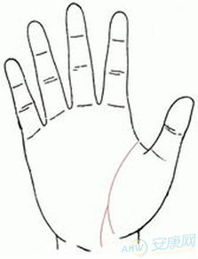 2. 生命线分叉成