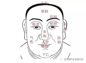 扫把眉男女面相是否代表大富大贵特征？