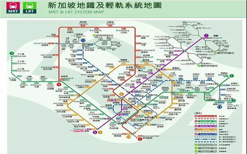 交通魔幻现实主义