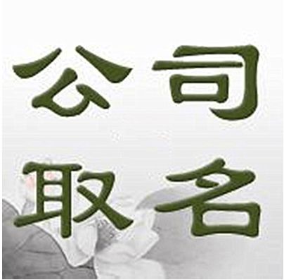 单氏集团图片中，有没有展示单氏起名的独特设计理念？
