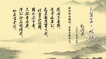 为哪些要让一个陌生人帮你起名？这是因为他们了解怎么把《诗经》变成ID