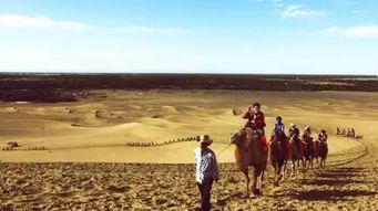 五一将至！你的心是不是早就飞走了？