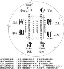 风水和合,中和在中医中的解释