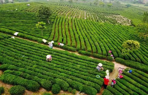 创业梦？噩梦还差不多！