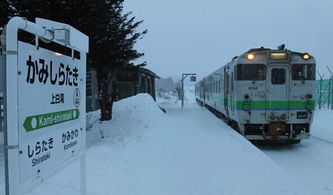 d931列车为什么路上停彳艮久