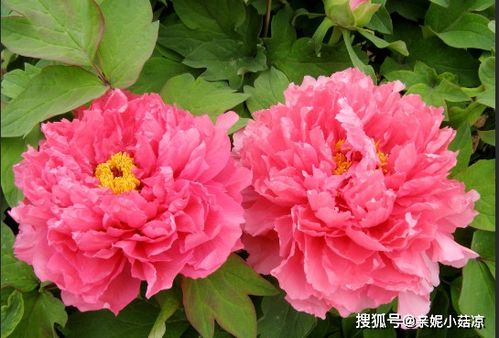 古宅的来历