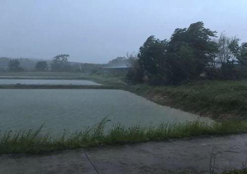 农村风水池塘有多少种形状,大池塘风水禁忌是