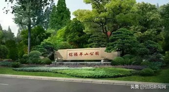 免费日人挤人挤到怀孕！