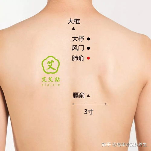 1. 手部穴位按摩
