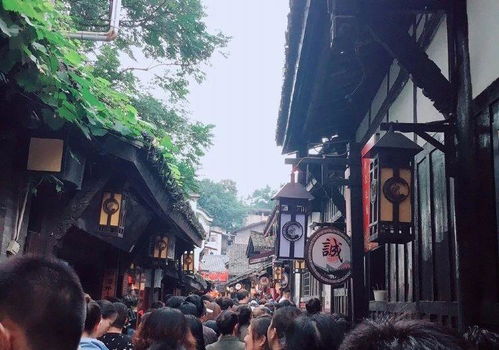 孔学堂：传统文化的降维打击