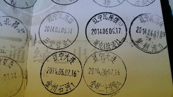二、 特色行程：量身定制的旅程（其实是一团乱麻）